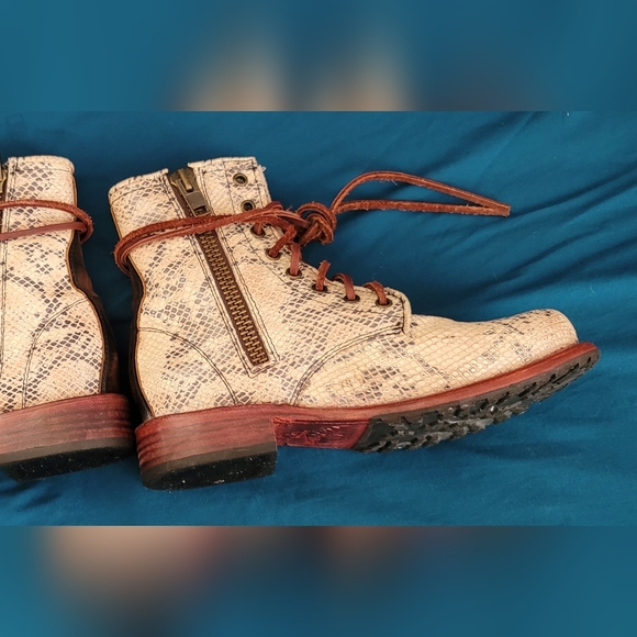 Freebird Manchester white snake 8 - Picture 3 of 5